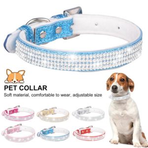 Pet Jewelry Buy Dog Necklace and Bracelets