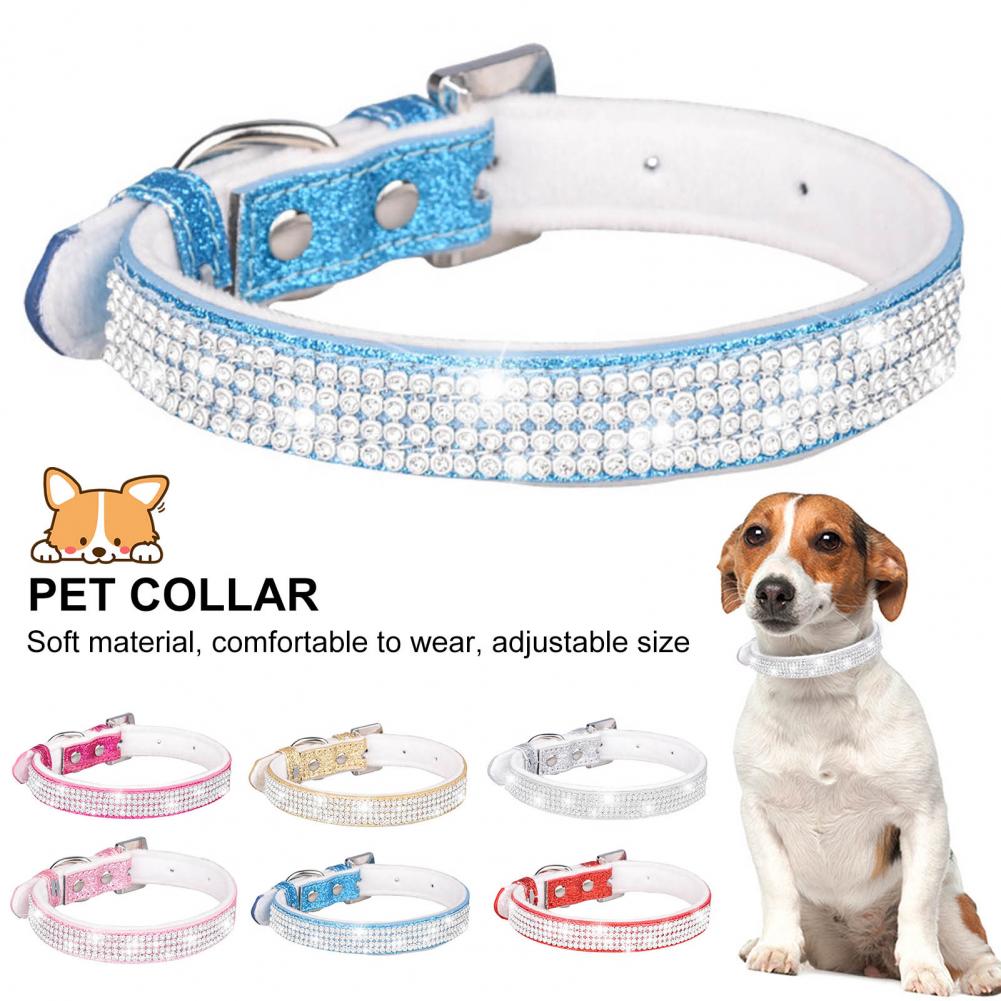 Pet Jewelry Buy Dog Necklace and Bracelets