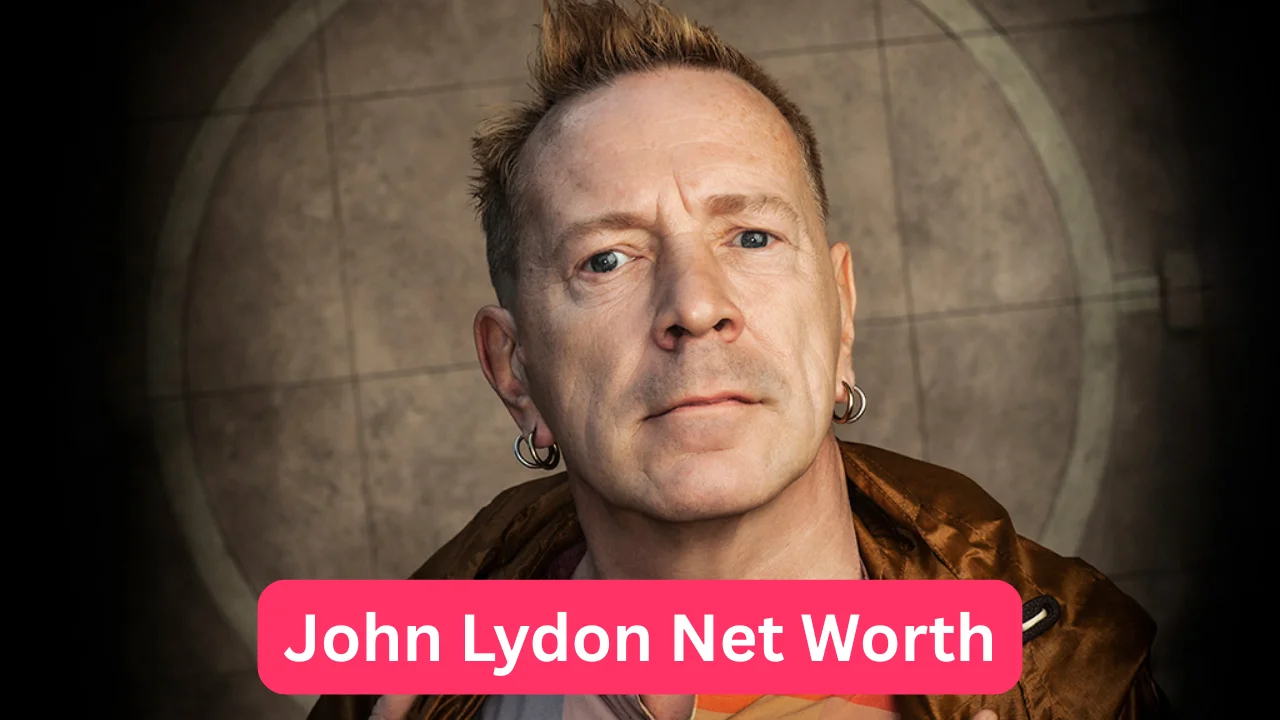 John Lydon Net Worth