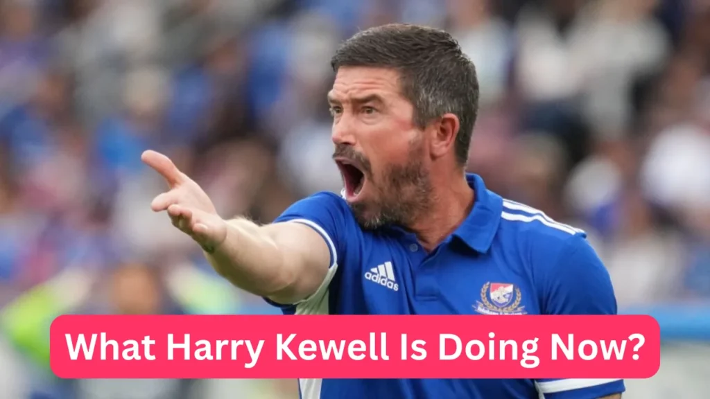 What Harry Kewell Is Doing Now?