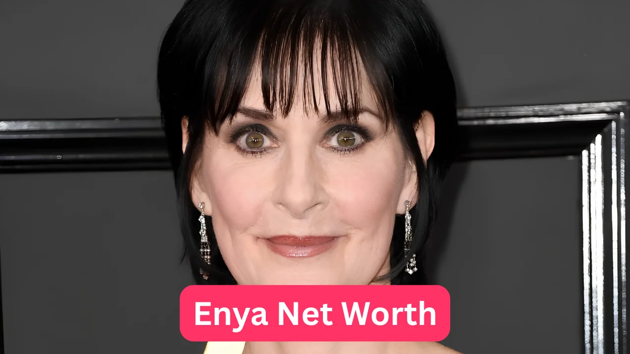 Enya Net Worth